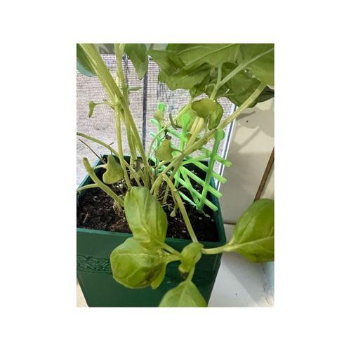 Miniatür Trellis (Bu ürün Sadece Plastik parçadır - Almadan Önce Soru Sorabilirsiniz)