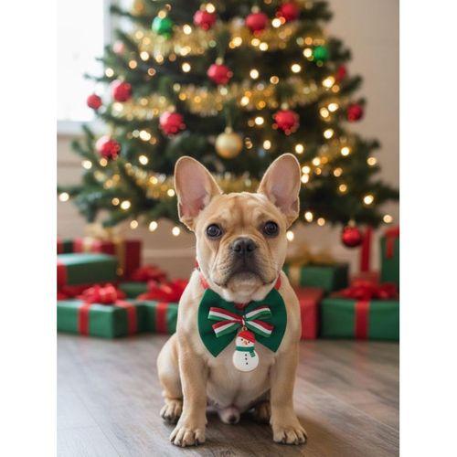 Kardan Adam Küçük Irk Köpek Papyon Tasması | Kırmızı Fiyonk Boyun Aksesuarı | Noel Temalı Köpek Süsü