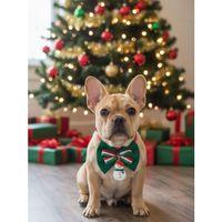 Kardan Adam Küçük Irk Köpek Papyon Tasması | Kırmızı Fiyonk Boyun Aksesuarı | Noel Temalı Köpek Süsü