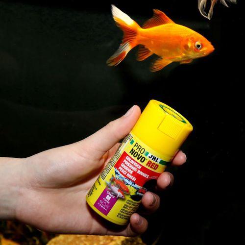 Jbl Pronovo Red Grano M 100ml Clıck