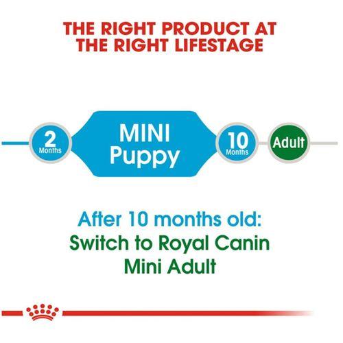 Royal Canin Mini Junior Küçük Irk Yavru Kuru Köpek Maması 4 Kg