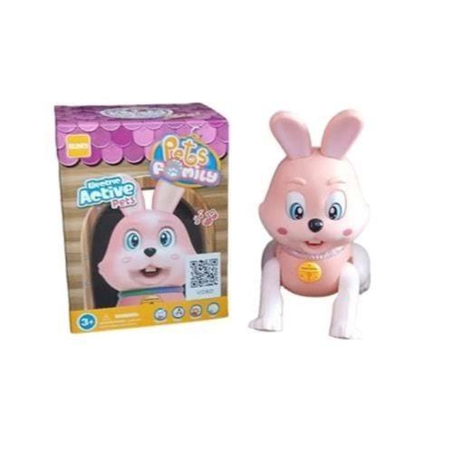 RS-9037C/9038C KUT.PİLLİ TAVŞAN / KEDİ -ZRV