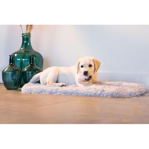 Beeztees Yavru Köpek Oyuncağı, Diş Kaşıma ve Masaj Dambıl, Kauçuk, Pembe, 9cm