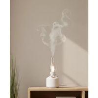 Usb Şarjlı Gaz Lambası Modeli Nano Mist Aromaterapi Nemlendirici 280 Ml