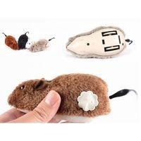 Kurmalı Fare Kedi Eğitim Oyuncağı