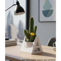 Beyaz A Harf Seklinde Mini Dekoratif Saksi Ismine Ozel Bas Harf Tasarim 75 Cm Masa Ustu Ofis Dekoru