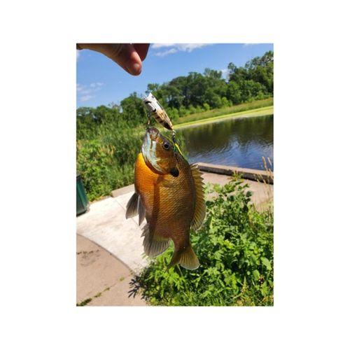 - Yüzey Popper 2 İnç 3 İnç (Bu ürün Sadece Plastik parçadır - Almadan Önce Soru Sorabilirsiniz)