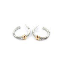 Yıldız Küpe - Gümüş