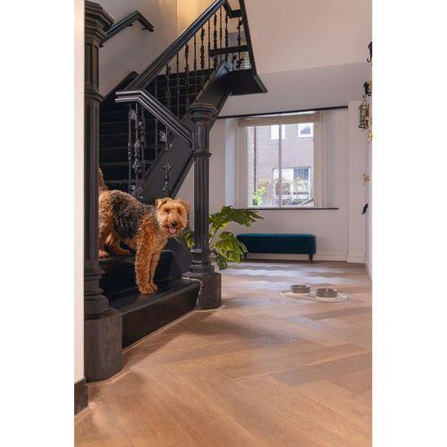 Beeztees DBL Mama Su Kabı Servisi, Silikon, Kaymaz, Bej, 55x30x1,7cm