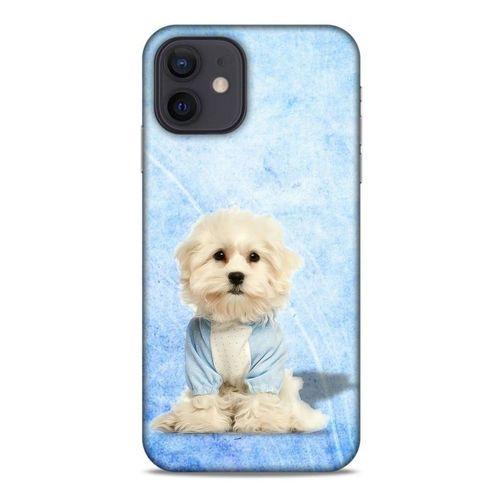 Apple iPhone 12 Kılıf Köpek Kıyafetleri (20) Koruyucu Kılıf Maltese Pijama