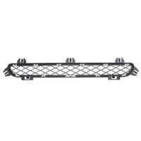 IOE-BMW Tampon Izgarası Ön Üst 51117210466 X3 F25