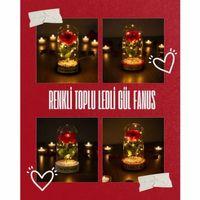 Renkli Toplu Ledli Gül Fanus