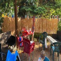 özgazi 120 Cm X 6 Metre Kamış Hasır Bahçe Çiti Balkon Çiti Gölgelik Ve Dekorasyon