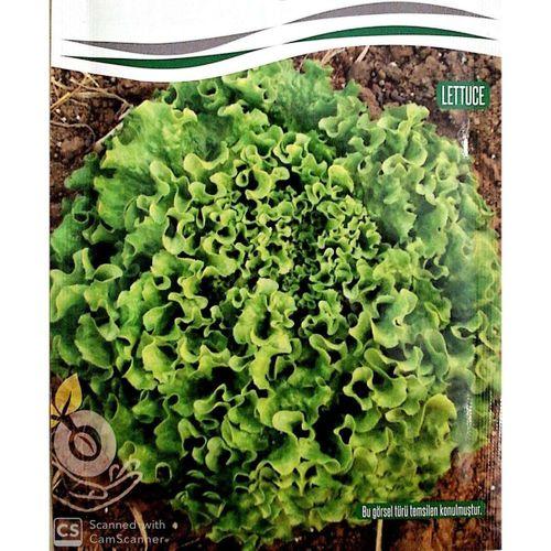 Kışlık Kıvırcık Tohumu (Tek Göbek)  (10 gr)