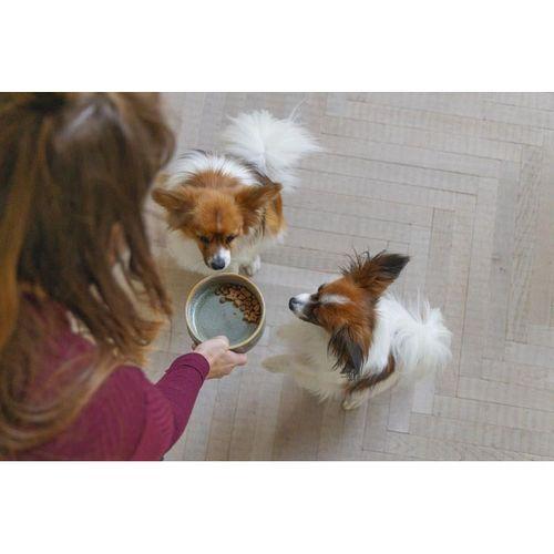 Beeztees DBL Köpek Mama Su Kabı, Seramik, Yeşil, 13,5cm, 500ml