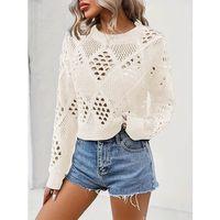 Kadın Uzun Kollu Yuvarlak Yaka Delik Desenli Triko Bluz