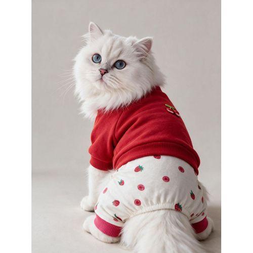 Tatlı Çilek Duo – Çilekli Kedi Tulum & Sweat Kombini