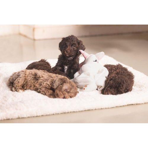 Beeztees Yavru Köpek Oyuncağı, Unicorn, Peluş, Beyaz, 33x25x14cm