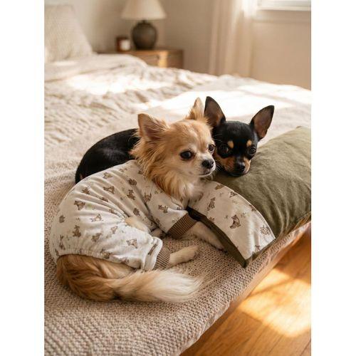 Breeds & Friends Uyku Takımı | Desenli Pamuklu Penye Köpek Tulumu ve Mini Yastık | Küçük Irklar İçin | Tüy Dökülmesini Azaltır