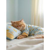 Summer Pineapple Uyku Takımı | Pamuklu Penye Kedi Tulumu ve Mini Yastık | Kediler İçin | Tüy Dökülmesini Azaltır