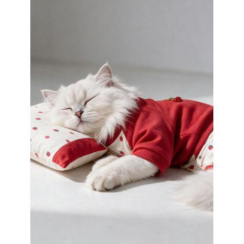Tatlı Çilek Kedi Rüyası | Pamuklu Çilekli Kedi Tulumu, Kırmızı Sweatshirt ve Mini Yastık | 3Parça