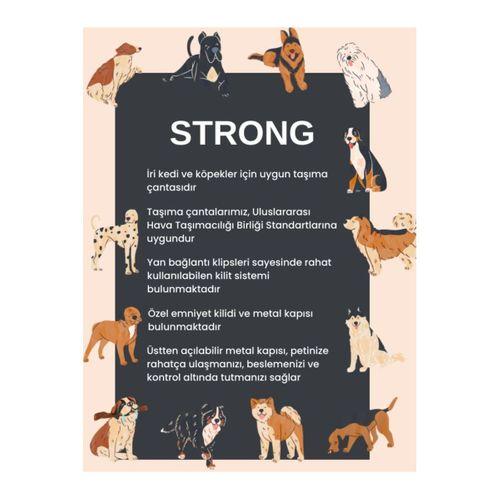 Strong Pet Taşıma Üstten Açılabilir 57x37x35 cm Yeşil