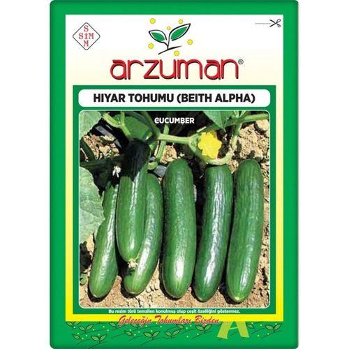 Salatalık Tohumu (10 Gr) Beith Alpha Tipi (Oturak)