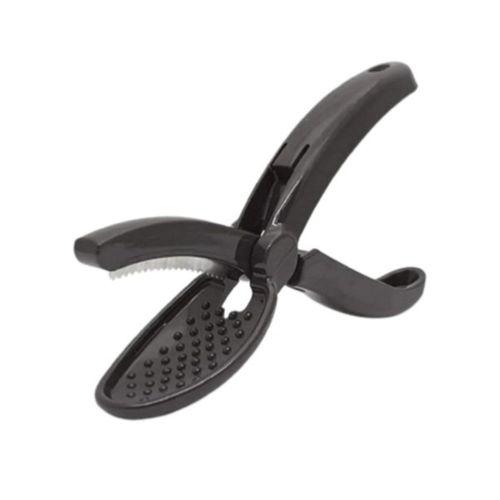 Plastik Kestane Çizeceği