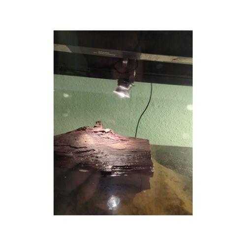 E27 Lamba Tutucu Ayarlanabilir (Bu ürün Sadece Plastik parçadır - Almadan Önce Soru Sorabilirsiniz)