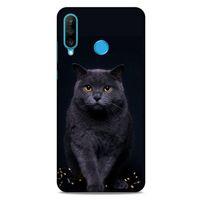 Lopard Huawei P30 Lite Uyumlu Kılıf Kediler (47) Crystal Flex Kılıf Scottish Fold
