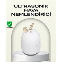 Abs+pp Malzemeli Taşınabilir 220 ml Usb Mist Nemlendirici
