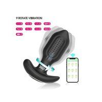 Sledgehammer Swing – Telefon Kontrollü Titreşimli Anal Plug (Siyah)