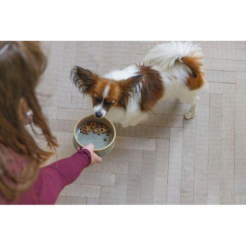 Beeztees DBL Köpek Mama Su Kabı, Seramik, Yeşil, 13,5cm, 500ml