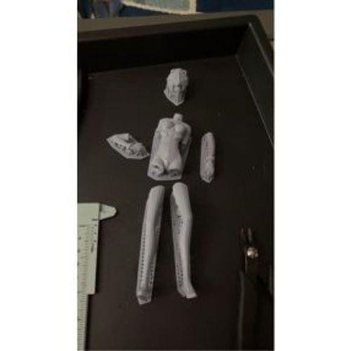 Ayanami Modeli Kes (Bu ürün Sadece Plastik parçadır - Almadan Önce Soru Sorabilirsiniz)