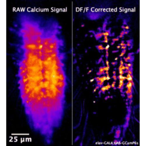 OPN Blok Baş Parlak Alanı Fluoresan Mikroskop Dönüşüm Kiti (Bu ürün Sadece Plastik parçadır - Almadan Önce Soru Sorabilirsiniz)