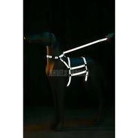 Reflektörlü - Ayarlanabilir Köpek Harness - Köpek Gezdirme Aparatı - Npd007