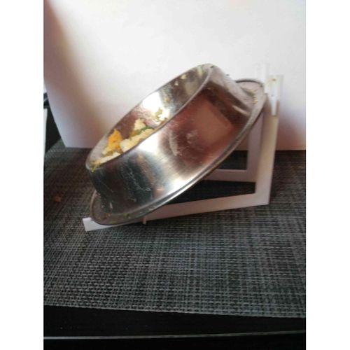 Pet Bowl Desteği - 5147974