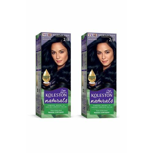 Naturals Saç Boyası Böğürtlen Siyahı 2/8 2x Paket