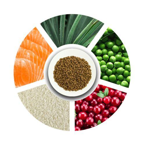 Prochoice Yetişkin Kediler İçin, Hipoalerjenik, Somon Balıklı Ve Pirinçli Kuru Mama 15 kg