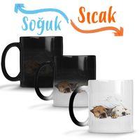 Cats Collection Three Sihirli Kupa Bardak Porselen