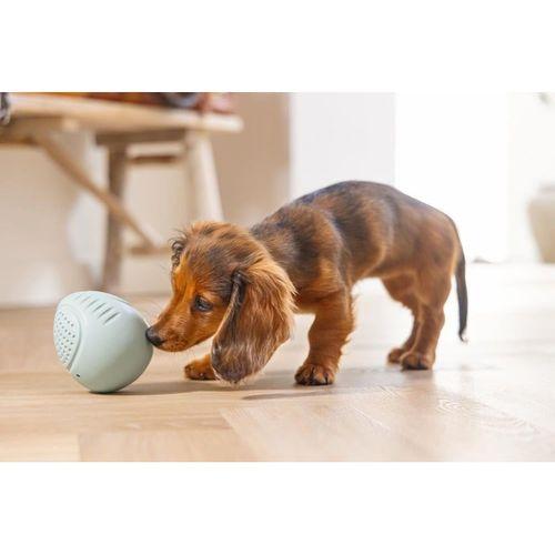 Beeztees Yavru Köpek Oyuncağı, Ödül ve Oyun, Yumurta, Kauçuk, Turkuaz, 6x6x8cm
