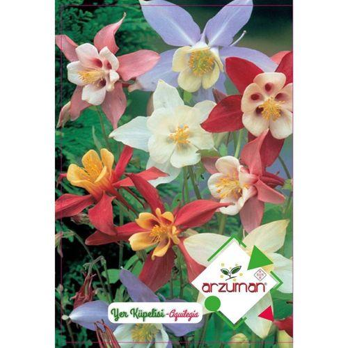 Arzuman Yer Küpelisi Çiçek Tohumu (50 Adet)-Haseki Küpesi