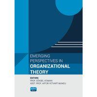 Emerging Perspectives in Organizational Theory