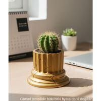 Gold Klasik Sutun Form Mini Dekoratif Saksi 7 Cm Masa Ustu Ofis Dekoru