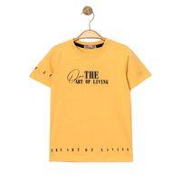Erkek Çocuk The Art Of Lıvıng Baskılı Tişört BGL-ST04454