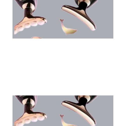 Ev Tipi Profesyonel Cilt Bakım Masaj Cihazı