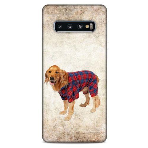 Samsung Galaxy S10 Kılıf Köpek Kıyafetleri (47) Crystal Flex Kılıf Golden Gömlek