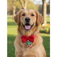 Candy Xmas Yılbaşı Köpek Papyon Tasması | Kırmızı Fiyonk Boyun Aksesuarı | Noel Temalı Köpek Süsü | Orta ve Büyük Irklar İçin