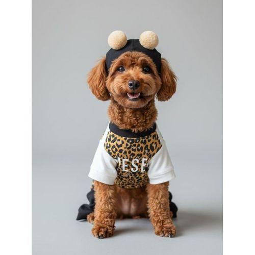 Leo Paw Köpek Tulumu & Bere Takımı | Penye Kumaş | Küçük Irk Köpekler İçin | Tüy Dökülmesini Azaltır