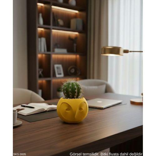 Sarı Baykuş Figürlü Mini Dekoratif Saksı 6 Cm Masaüstü Ofis Dekoru